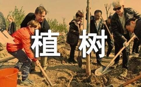 植树问题的背诵口诀与公式
