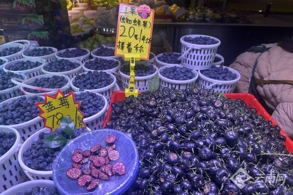 野果逆袭成“金果” 云南马关红果参产值或超亿元