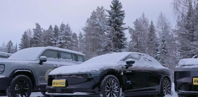凛冬“试”炼，中国新能源汽车极速破冰，谁能问鼎冰雪之巅？