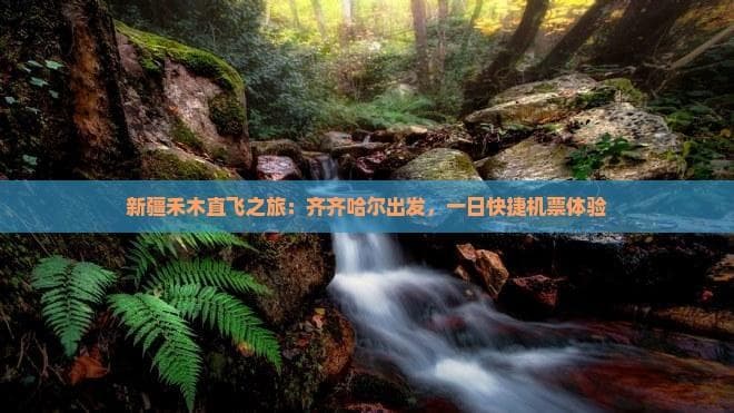 新疆禾木直飞之旅：齐齐哈尔出发，一日快捷机票体验