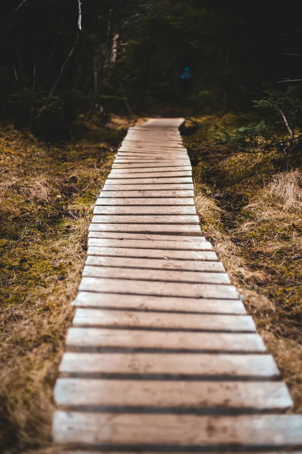 Nature重磅：PathChat开创病理学诊断新纪元