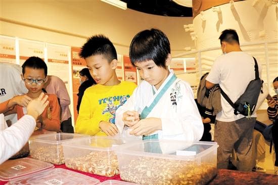 江门新会好“味”康养之旅上榜