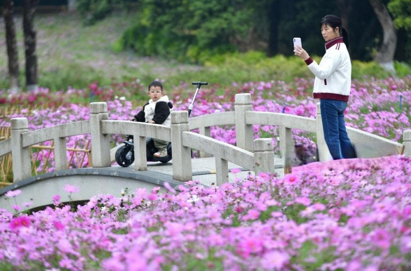 春季第三个节气到了，今年惊蛰节气广州“忽冷忽热”