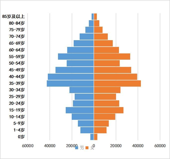 四川省绵阳市江油市人口普查数据报告