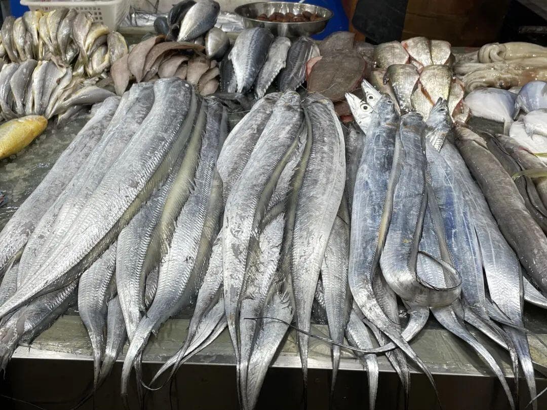 吃海鲜也有讲究！怎样挑选环保、又好吃的海鲜？