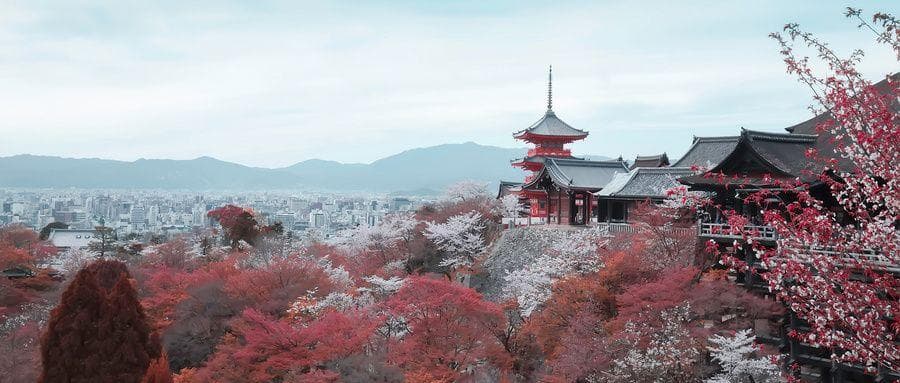 日语入门知识点：形容动词 附“大”用日语怎么说？