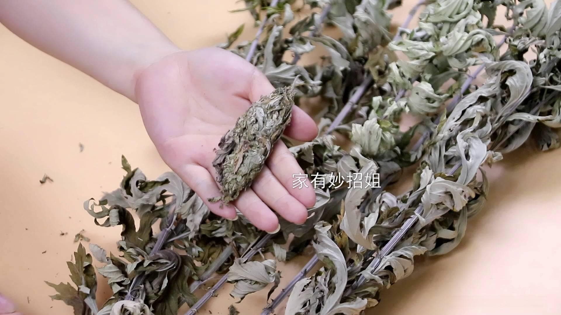 艾草灰的四大妙用：从养花到清洁，这些生活小窍门值得收藏