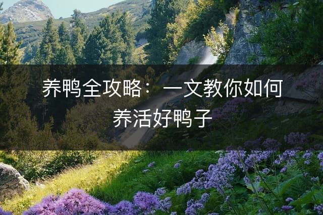 养鸭全攻略：一文教你如何养活好鸭子