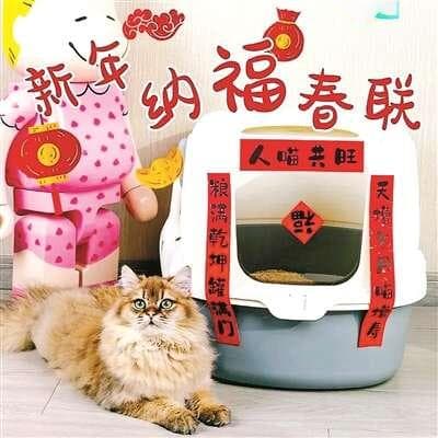 00后置办年货都买了些啥