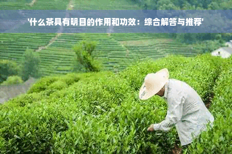 什么茶具有明目的作用和功效：综合解答与推荐