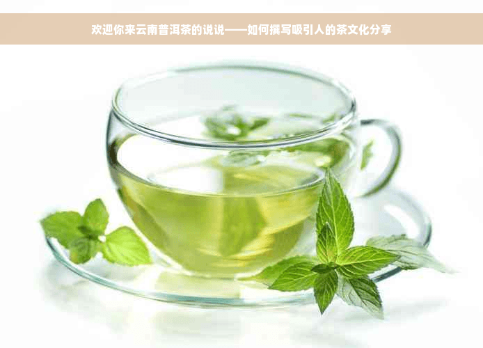 如何撰写一篇吸引人的普洱茶文化分享