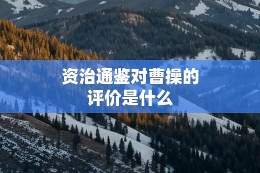 资治通鉴对曹操的评价是什么