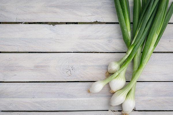 大葱的功效与作用 这一根葱用好了能舒缓5大症状