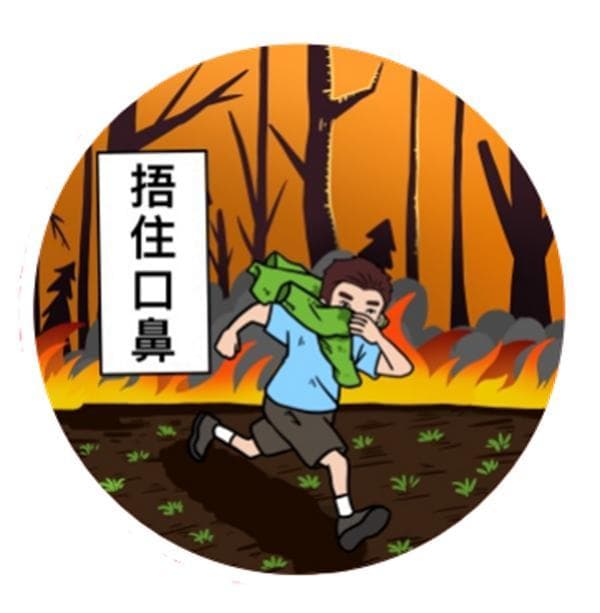 防火自救全攻略：从森林防火到家庭安全