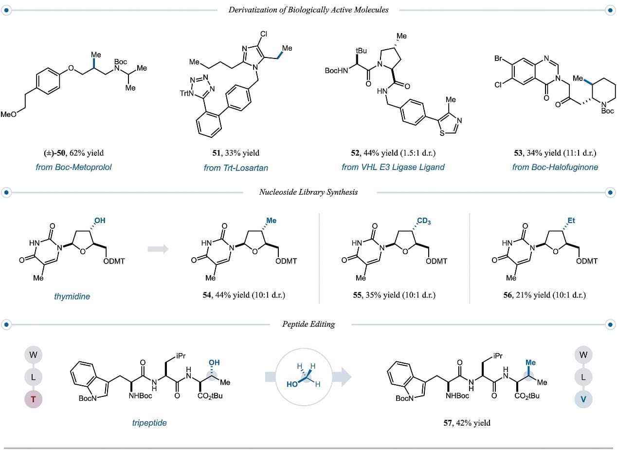 MacMillan团队Science：Sʜ2自由基分选实现醇-醇交叉偶联