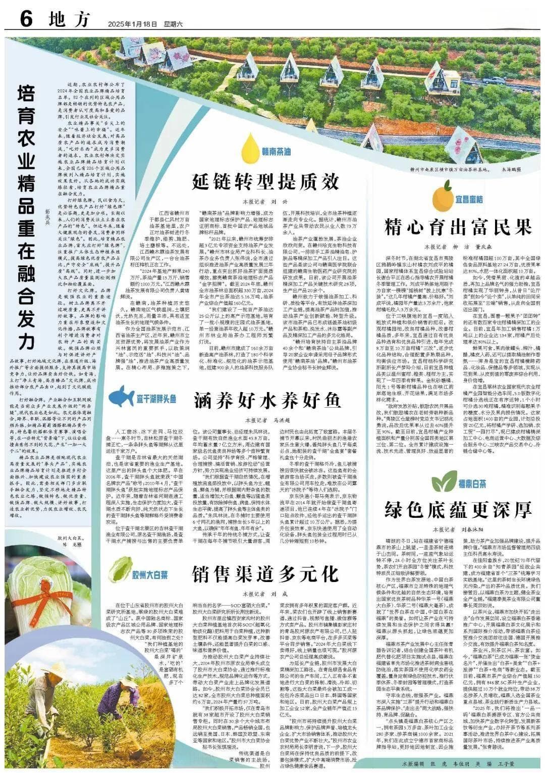福鼎白茶：绿色底蕴更深厚