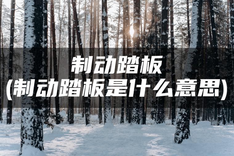 制动踏板：汽车安全的关键守护者