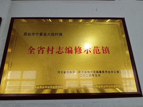 河北宁晋县大陆村镇：推进“村志”编纂，留住“乡愁”味道