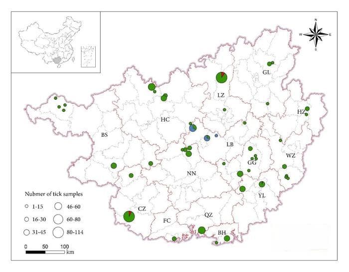 中国广西地区蜱虫种群的物种组成、遗传结构及病原体流行情况