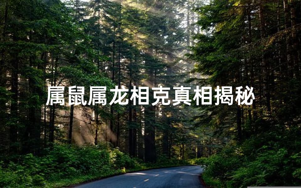 属鼠属龙相克真相揭秘：从传统文化到现代解读