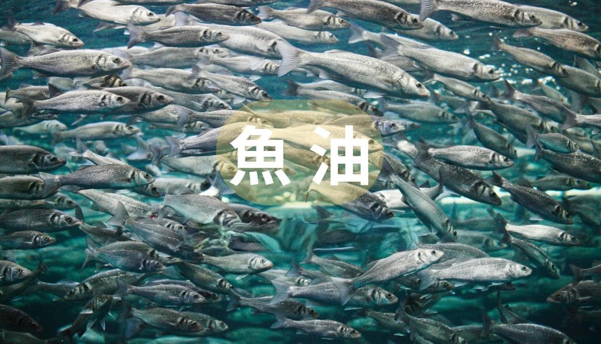 Omega-3鱼油的功效与使用指南：EPA、DHA的正确摄入方法