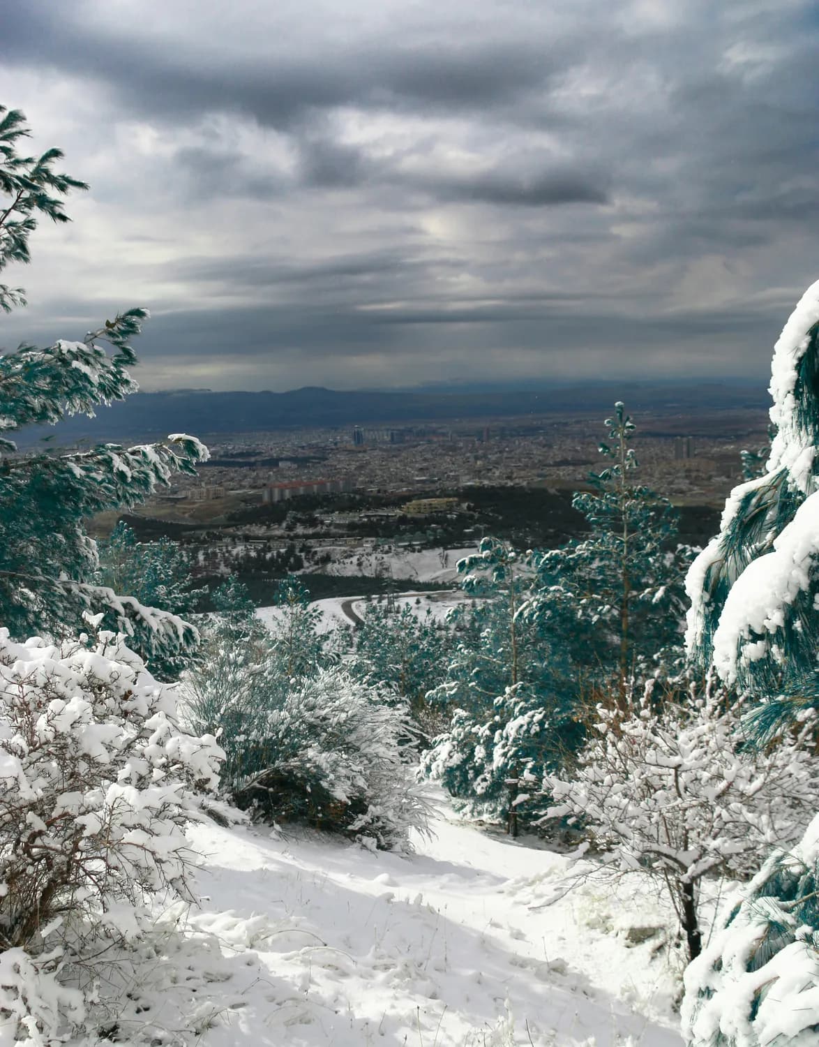 南岳衡山秋冬游：雪景雾凇与文化之旅