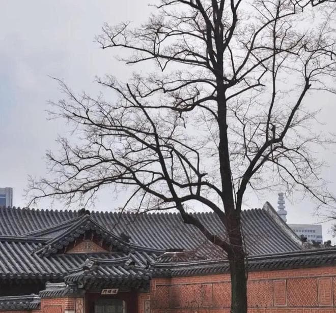 畅游首尔，十大必去景点，哪个最吸引你？