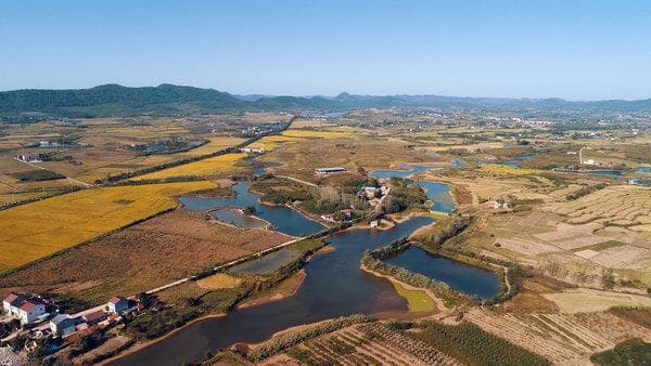 屈家岭遗址：实证长江流域亦是中华文明的摇篮