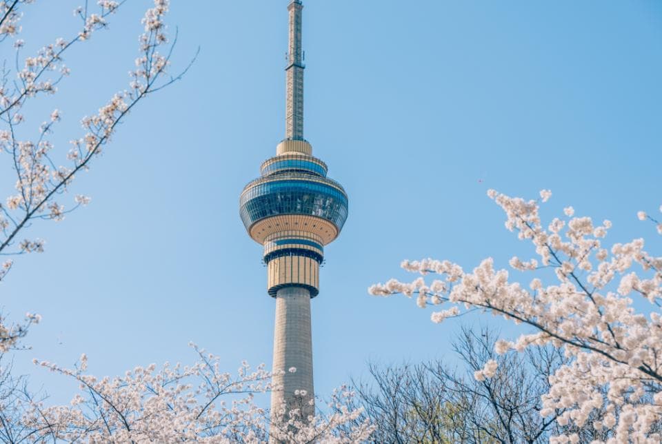 2025北京清明节赏花热门活动全攻略