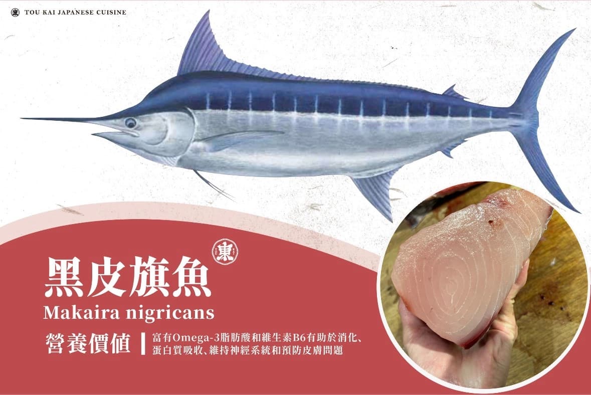 平常吃到的旗鱼生鱼片是哪種旗鱼？旗鱼介紹大不同，五種旗鱼全解析！