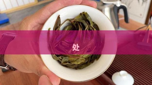 全面解析：茶水的饮用时间与健康益处