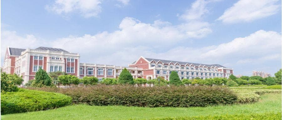 2025 年法学专业选科与高校招生及就业前景深度解析