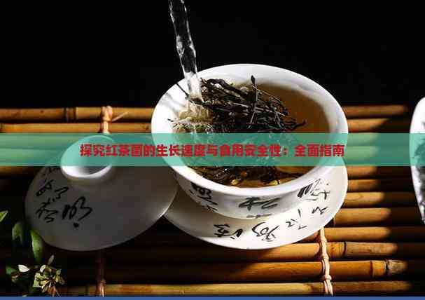 探究红茶菌的生长速度与食用安全性：全面指南