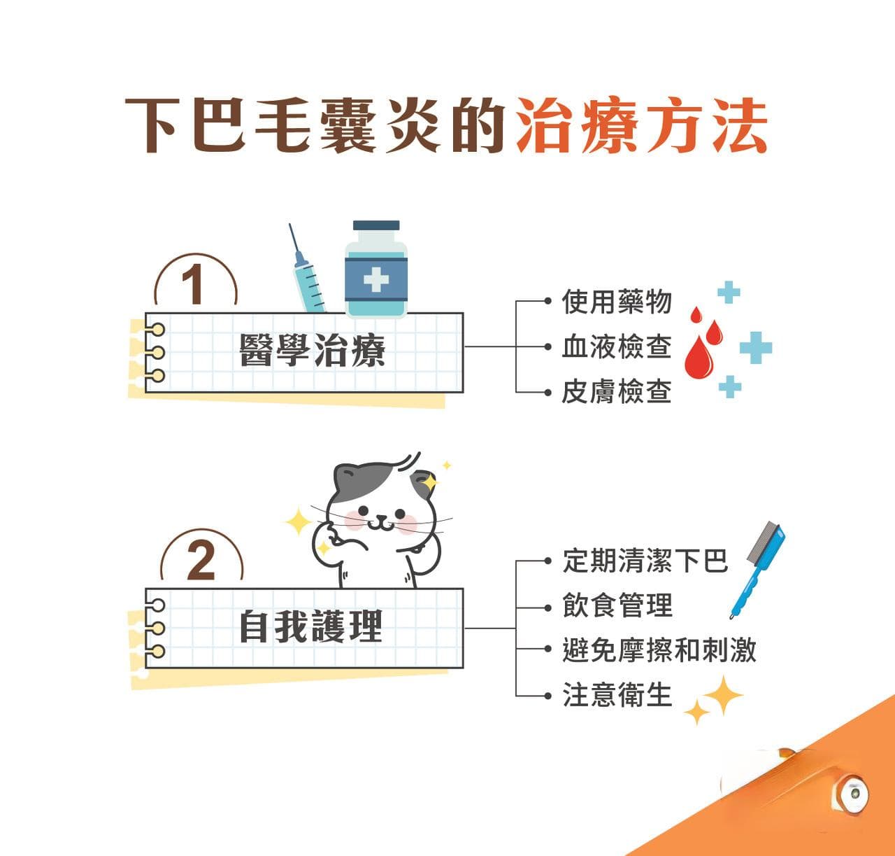 貓奴必看！貓咪下巴毛囊炎：病因、症狀與治療方法全面解析