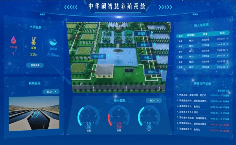 专家：提高中华鲟有效繁殖群体数量是保护关键