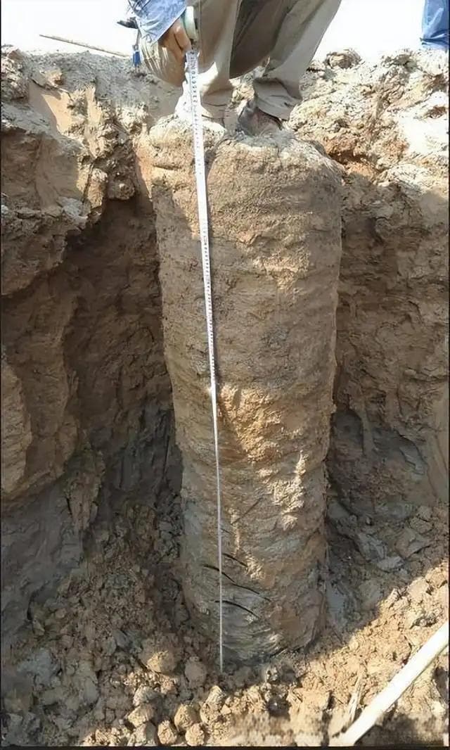 一文带你认识CFG桩
