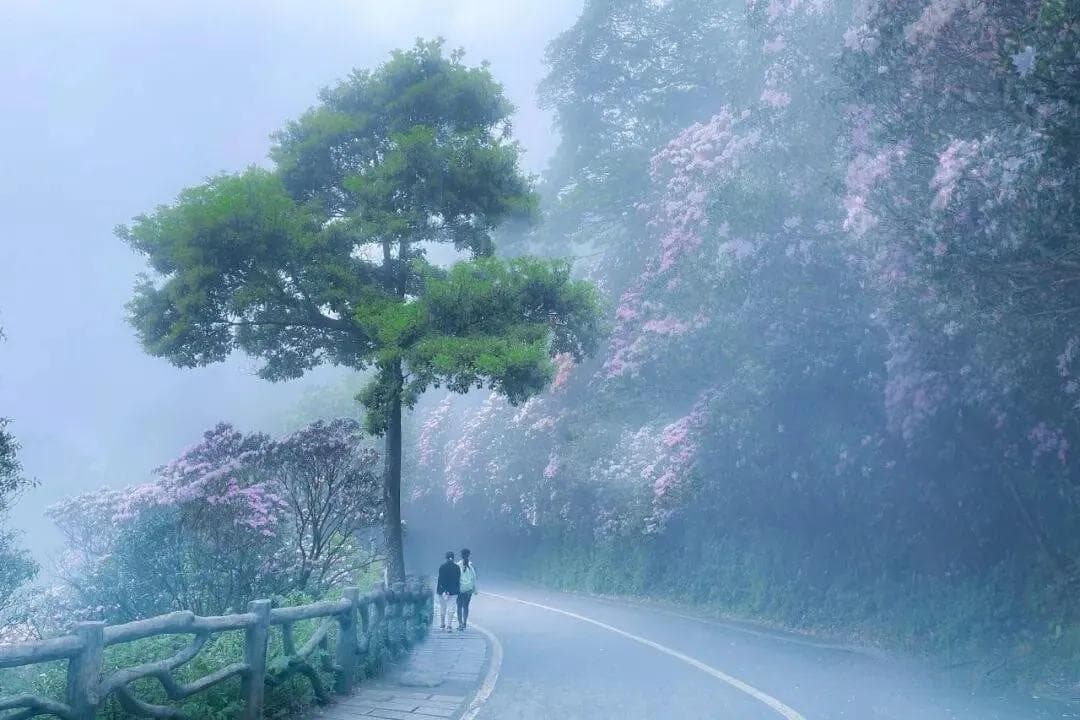 深圳梧桐山最佳登山路线（6大攀登线路，看这一篇就够了）