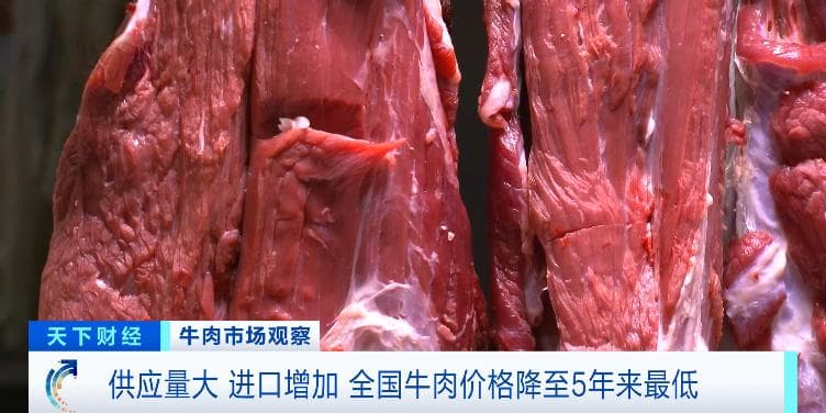 牛肉均价同比降17.4%，国产产量大增致供应宽松