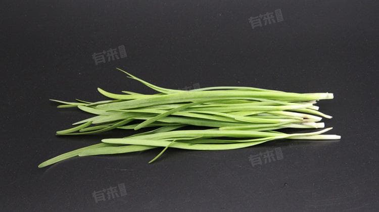 韭菜是发物吗？从中医角度解析其食用注意事项