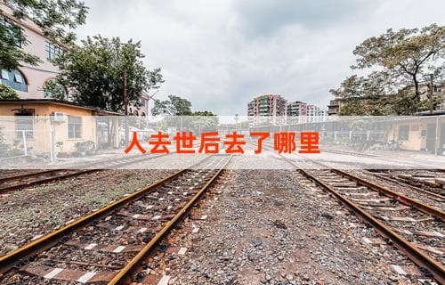 人去世后去了哪里：生命终结后的未知世界探索
