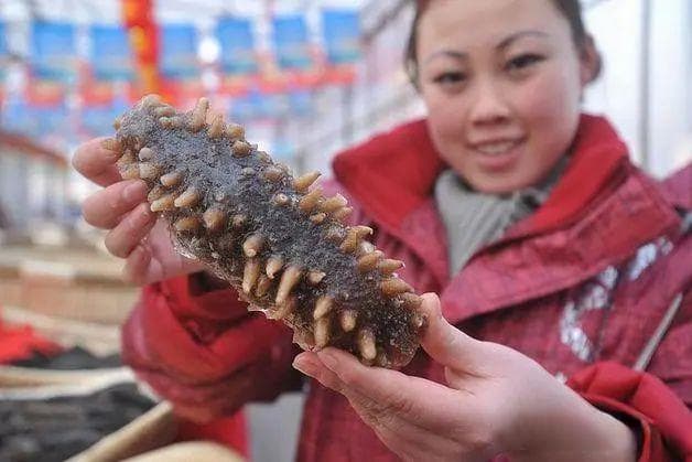 野生海参和养殖海参的区别有哪些？