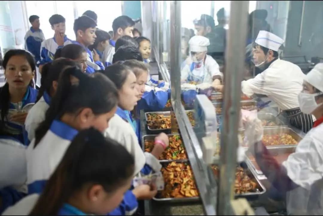 校园餐厅大变身：饭菜质量与服务水平提升全攻略
