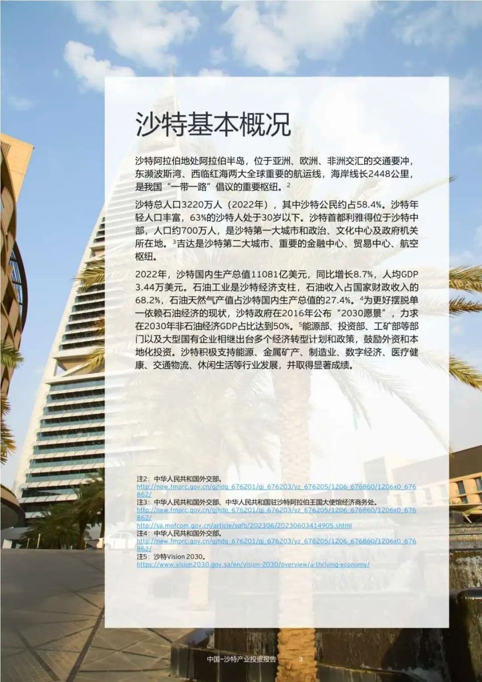 2024中国-沙特产业投资报告