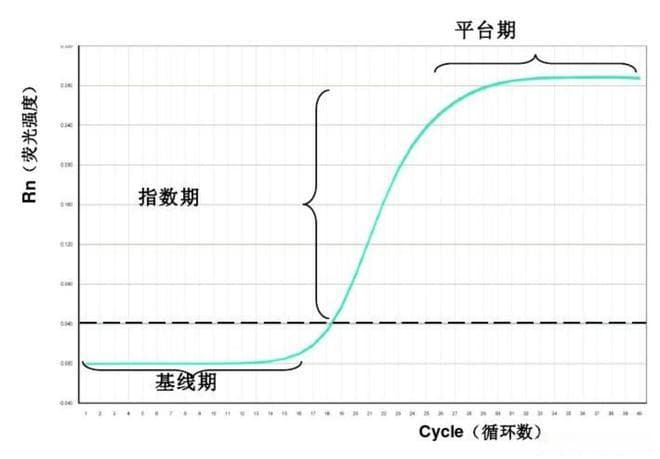 一文了解实时荧光定量PCR(qPCR)技术的原理与分类