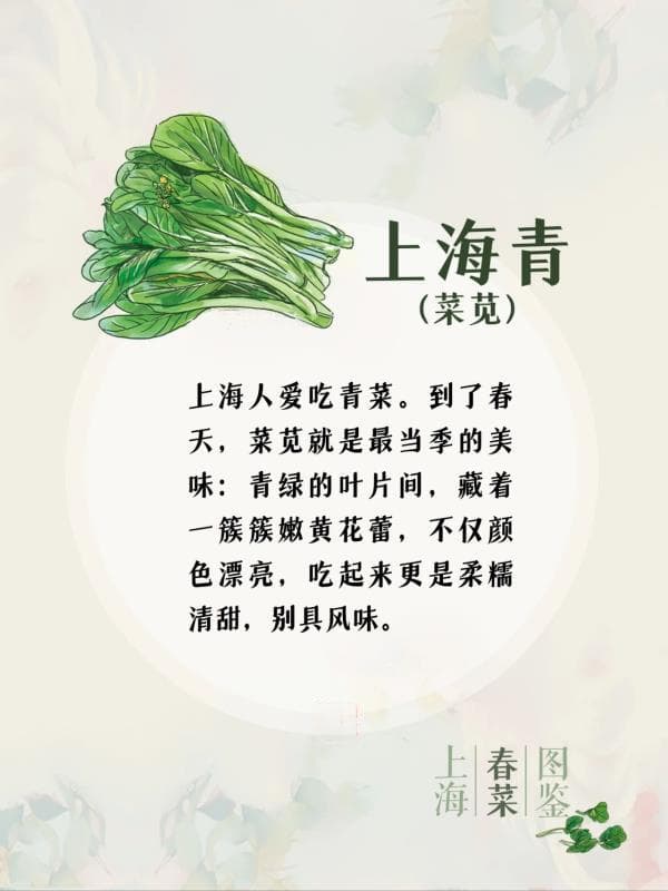 上海春菜图鉴：从青菜到春笋，品味申城春日餐桌上的时令美味