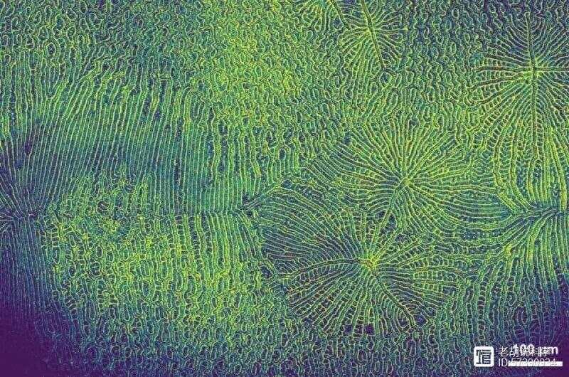 有机半导体领域数十年来的重大突破，信息存储和计算方式将被重构