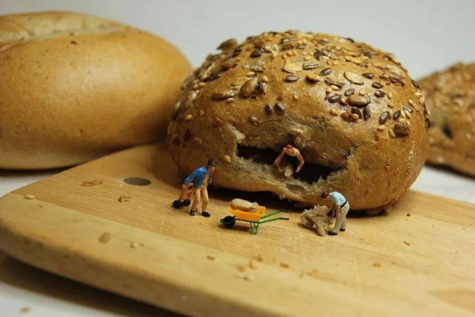 健康科普丨主食怎么吃才健康？