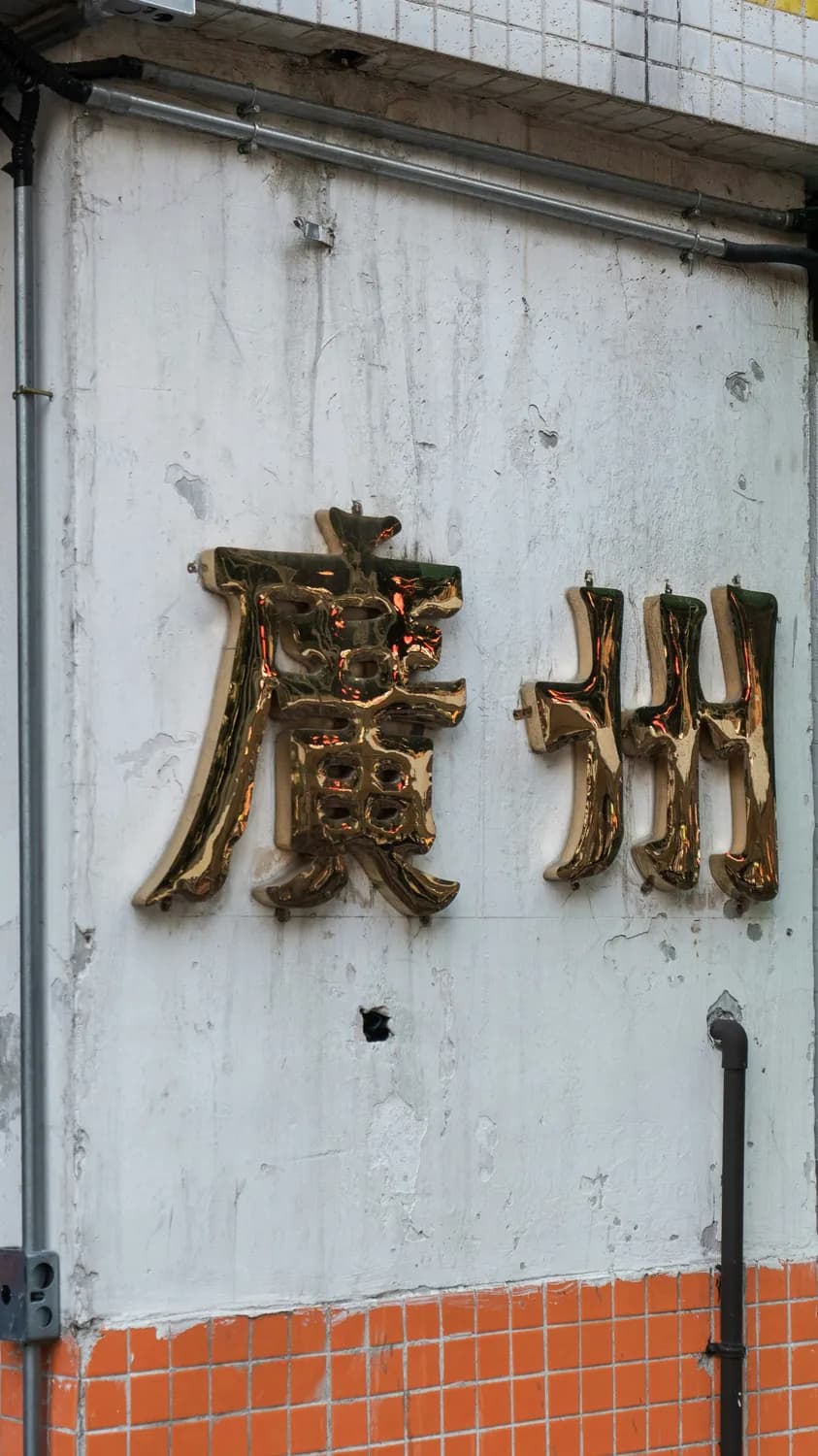 甜字五行属性揭秘：火与木的秘密