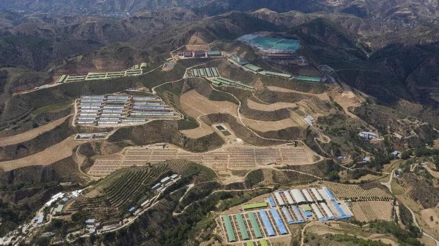 陕西子洲：绒山羊产业带动乡村振兴实现百亿级产值