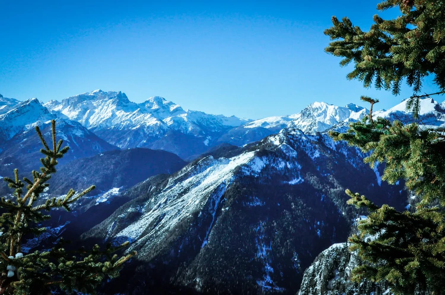 莽山五指峰：南方的冰雪奇缘，云端栈道漫步仙境